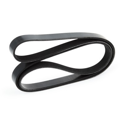 V-Ribbed Belt RIDEX 305P0079 305P0079 - photo 4