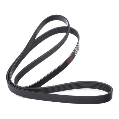 V-Ribbed Belt RIDEX 305P0083 305P0083 - photo 3