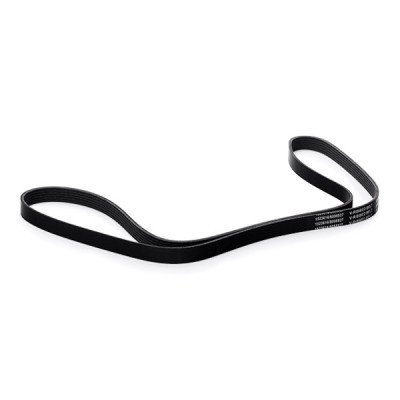 V-Ribbed Belt RIDEX 305B0284 305B0284 - photo 3