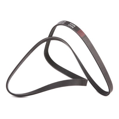 V-Ribbed Belt RIDEX 305P0040P 305P0040P - photo 4