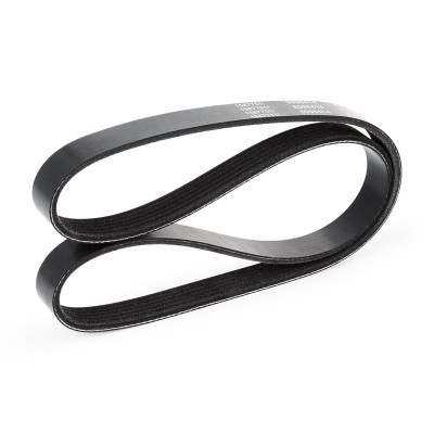 V-Ribbed Belt RIDEX 305P0054 305P0054 - photo 4