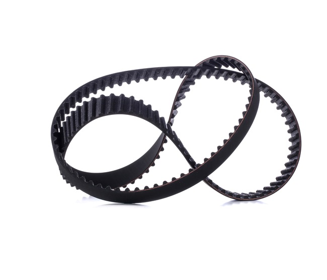 Timing Belt RIDEX 306T0234 306T0234 - photo 1