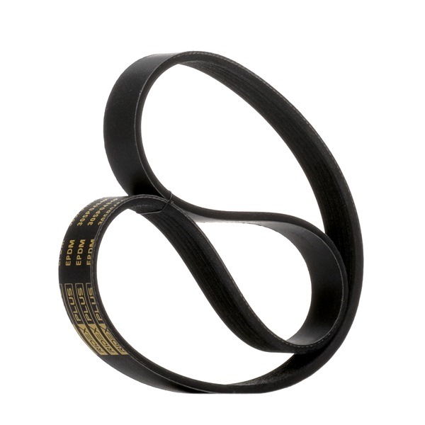 V-Ribbed Belt RIDEX 305P0484P 305P0484P - photo 1