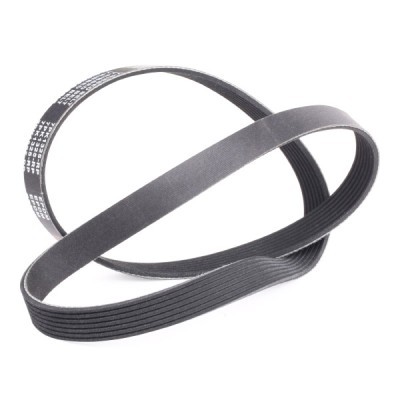 V-Ribbed Belt RIDEX 305P0451P 305P0451P - photo 3
