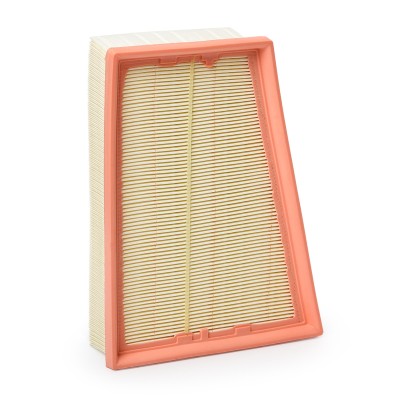 Air Filter RIDEX 8A0251 8A0251 - photo 8