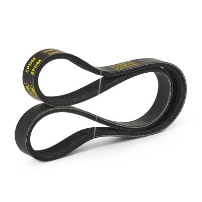 V-Ribbed Belt RIDEX 305P0166P 305P0166P - photo 4
