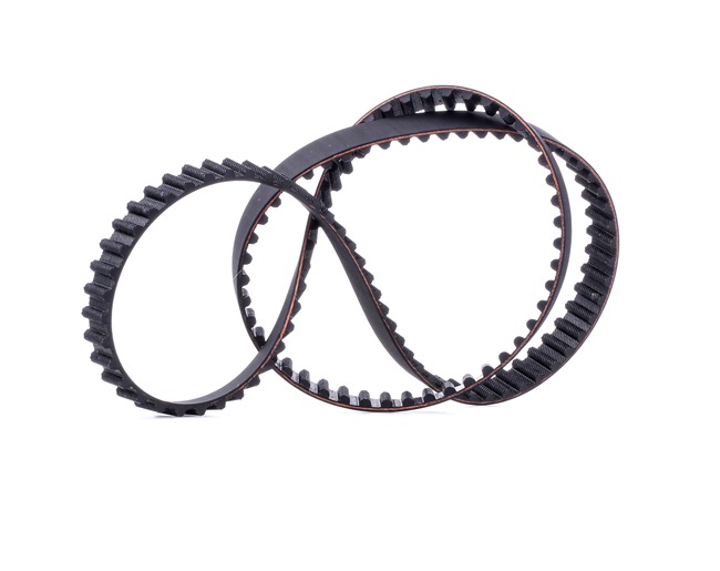 Timing Belt RIDEX 306T0130 306T0130 - photo 1