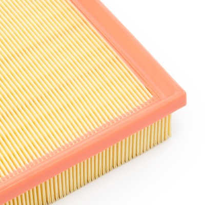 Air Filter RIDEX 8A0669 8A0669 - photo 10