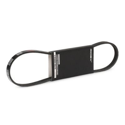 V-Ribbed Belt RIDEX 305P0010 305P0010 - photo 2