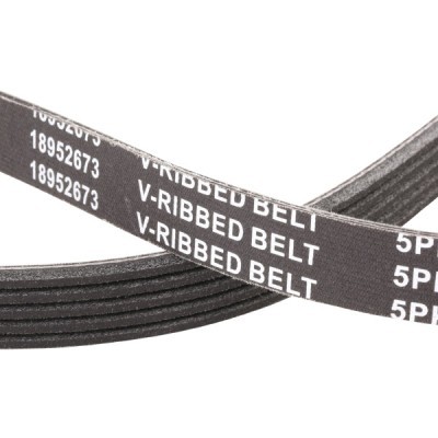 V-Ribbed Belt RIDEX 305P0042P 305P0042P - photo 5