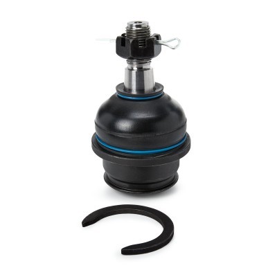 Ball Joint RIDEX 2462S0410 2462S0410 - photo 2