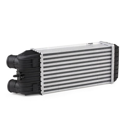Intercooler, Charger RIDEX 468I0139 468I0139 - photo 4