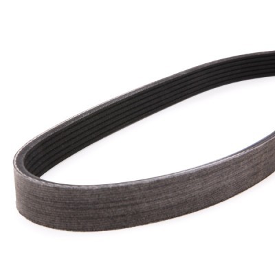 V-Ribbed Belt RIDEX 305P0084P 305P0084P - photo 5
