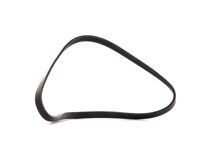 V-Ribbed Belt RIDEX 305P0020P 305P0020P - photo 1