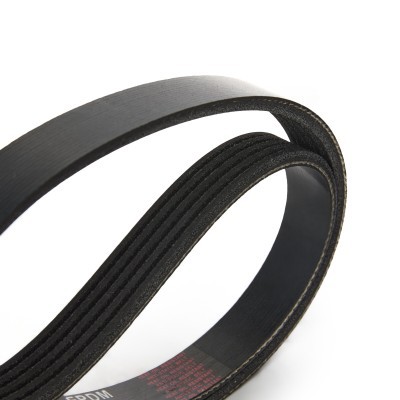 V-Ribbed Belt RIDEX 305P0660 305P0660 - photo 4