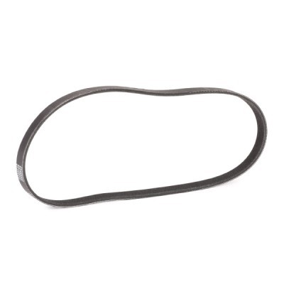 V-Ribbed Belt RIDEX 305P0024P 305P0024P - photo 3
