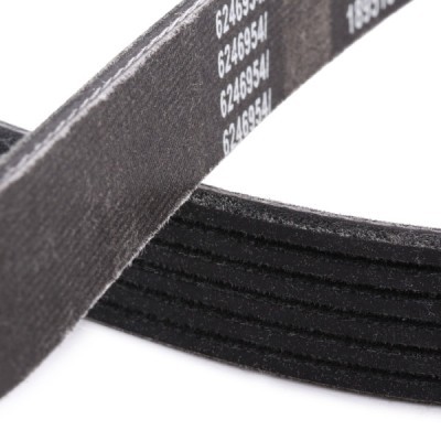V-Ribbed Belt RIDEX 305P0077P 305P0077P - photo 5