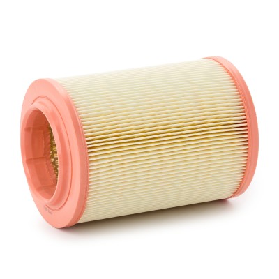 Air Filter RIDEX 8A0134 8A0134 - photo 8