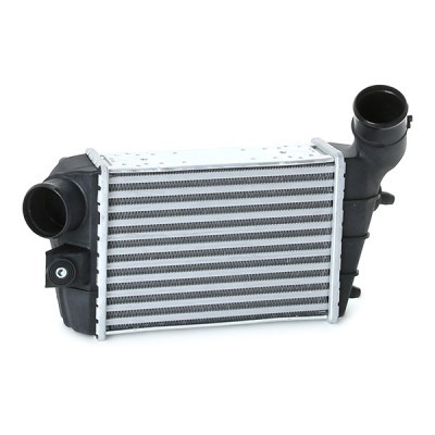 Intercooler, Charger RIDEX 468I0032 468I0032 - photo 4