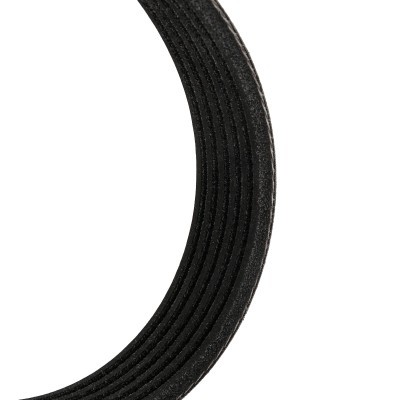 V-Ribbed Belt RIDEX 305P0145P 305P0145P - photo 5
