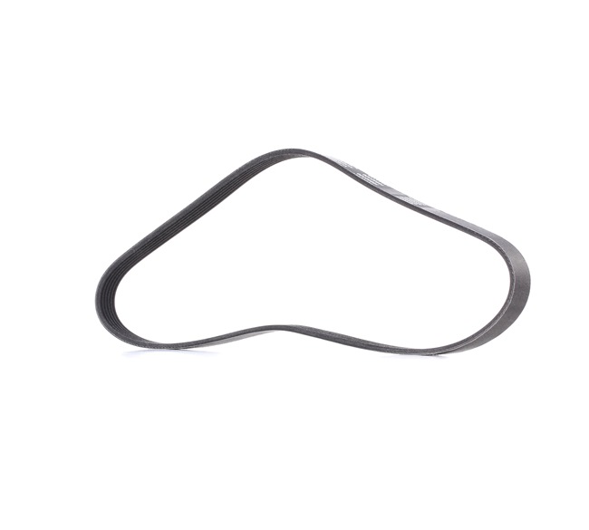 V-Ribbed Belt RIDEX 305P0407P 305P0407P - photo 1