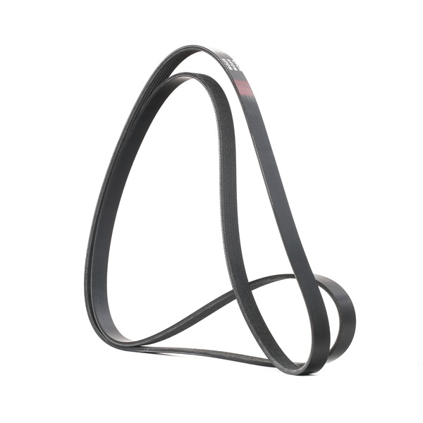 V-Ribbed Belt RIDEX 305P0100 305P0100 - photo 1