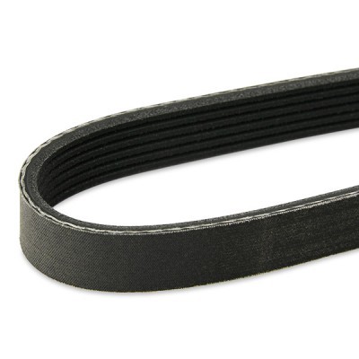 V-Ribbed Belt RIDEX 305P0089P 305P0089P - photo 8