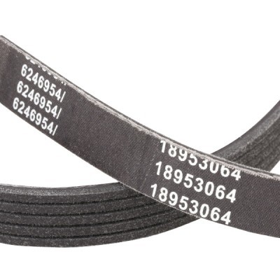 V-Belt RIDEX 305P0176P 305P0176P - photo 5
