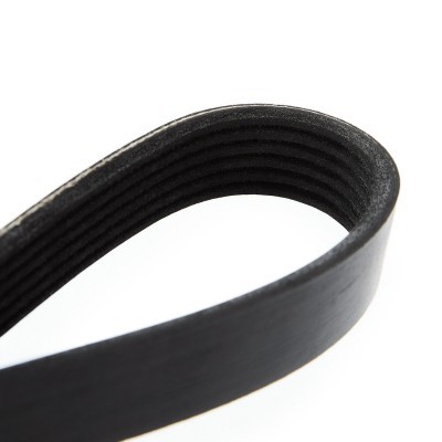 V-Ribbed Belt RIDEX 305P0116 305P0116 - photo 5
