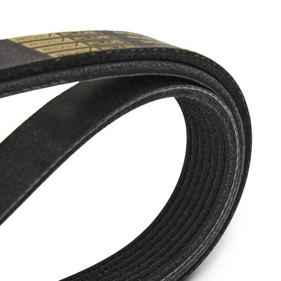 V-Ribbed Belt RIDEX 305P0223P 305P0223P - photo 5