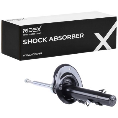 Shock Absorber RIDEX 854S1769 854S1769 - photo 2