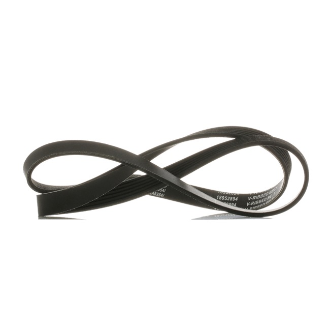 V-Ribbed Belt RIDEX 305P0127P 305P0127P - photo 1