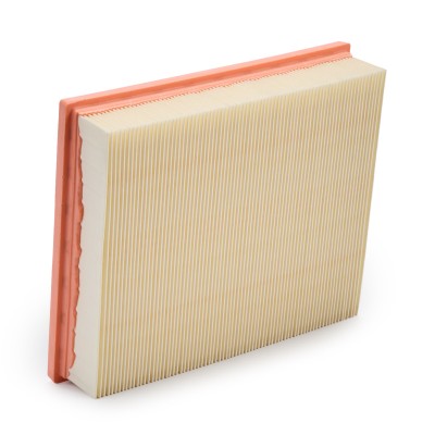 Air Filter RIDEX 8A0679 8A0679 - photo 9