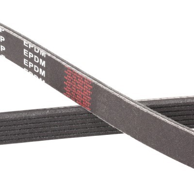 V-Ribbed Belt RIDEX 305P0144P 305P0144P - photo 5