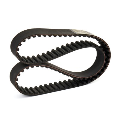 Timing Belt RIDEX 306T0098P 306T0098P - photo 3