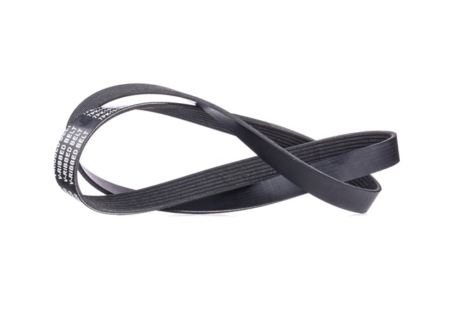 V-Ribbed Belt RIDEX 305P0389 305P0389 - photo 1