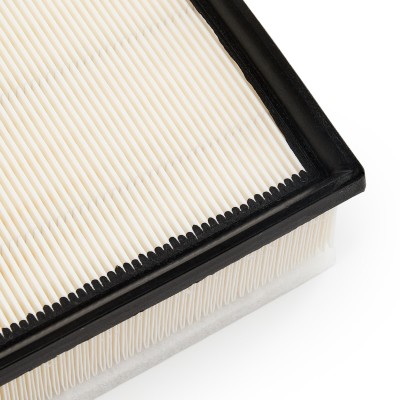 Air Filter RIDEX 8A0668 8A0668 - photo 10