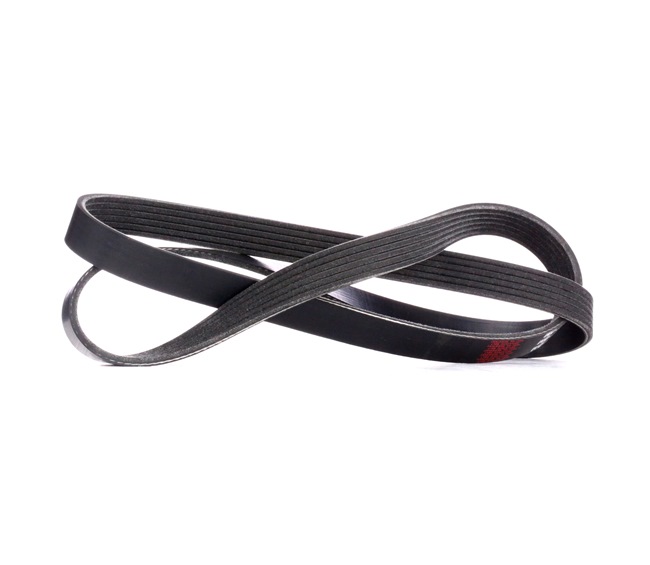 V-Ribbed Belt RIDEX 305P0177 305P0177 - photo 1