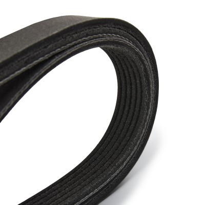 V-Ribbed Belt RIDEX 305P0466P 305P0466P - photo 6