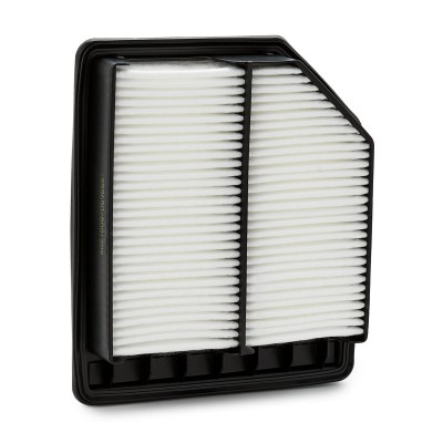 Air Filter RIDEX 8A0143 8A0143 - photo 8