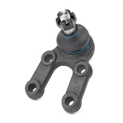 Ball Joint RIDEX 2462S0246 2462S0246 - photo 3