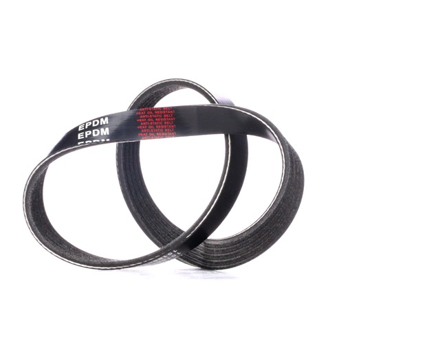V-Ribbed Belt RIDEX 305P0324 305P0324 - photo 1