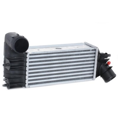 Intercooler, Charger RIDEX 468I0012 468I0012 - photo 3