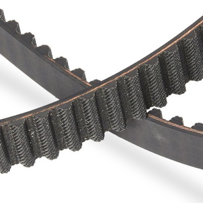 Timing Belt RIDEX 306T0018P 306T0018P - photo 5