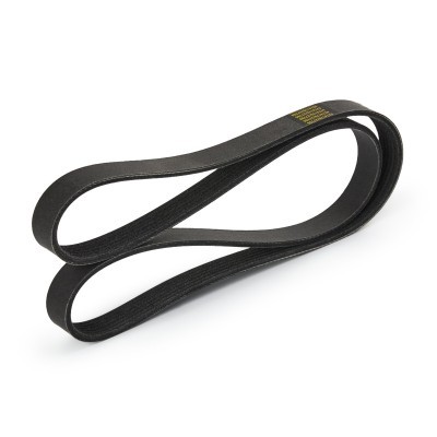 V-Ribbed Belt RIDEX 305P0066P 305P0066P - photo 4
