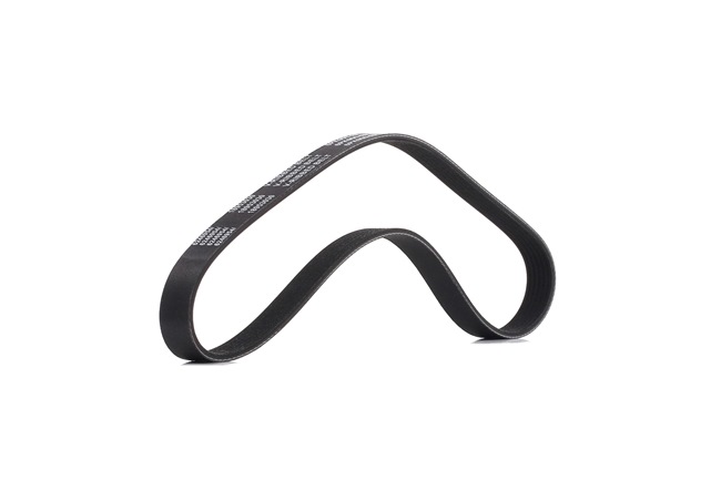 V-Ribbed Belt RIDEX 305P0048P 305P0048P - photo 1