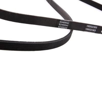 V-Ribbed Belt RIDEX 305P0045P 305P0045P - photo 4