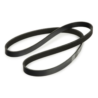 V-Ribbed Belt RIDEX 305P0227 305P0227 - photo 3