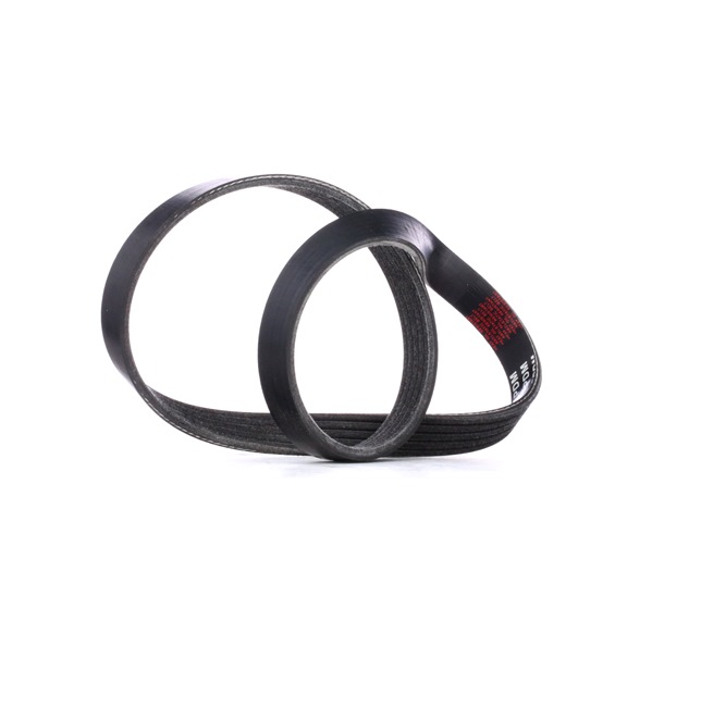 V-Ribbed Belt Stark SK-5PK810 SK-5PK810 - photo 1