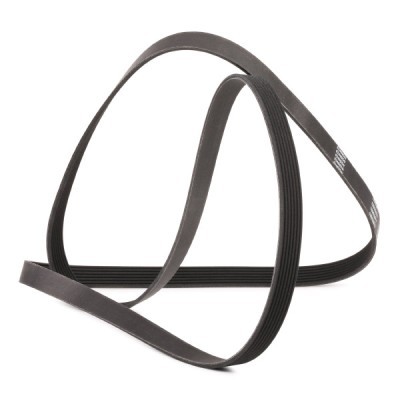 V-Ribbed Belt RIDEX 305P0229P 305P0229P - photo 3